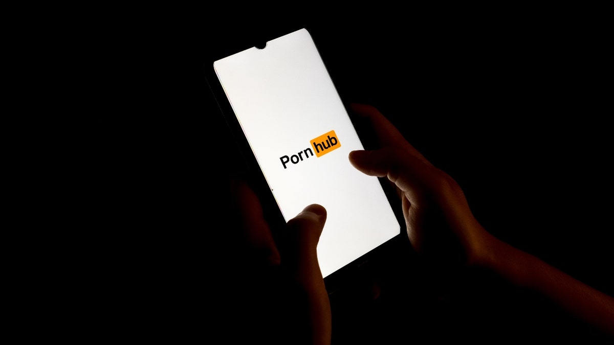 GOP lawmaker introduces bill requiring age verification tech for porn sites